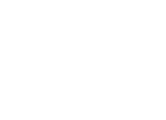 logo-aime