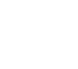 logo-effy