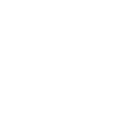 logo-lyf